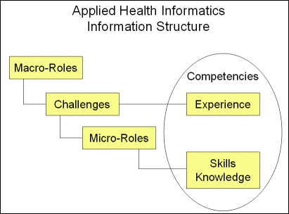 AHI Information Structure